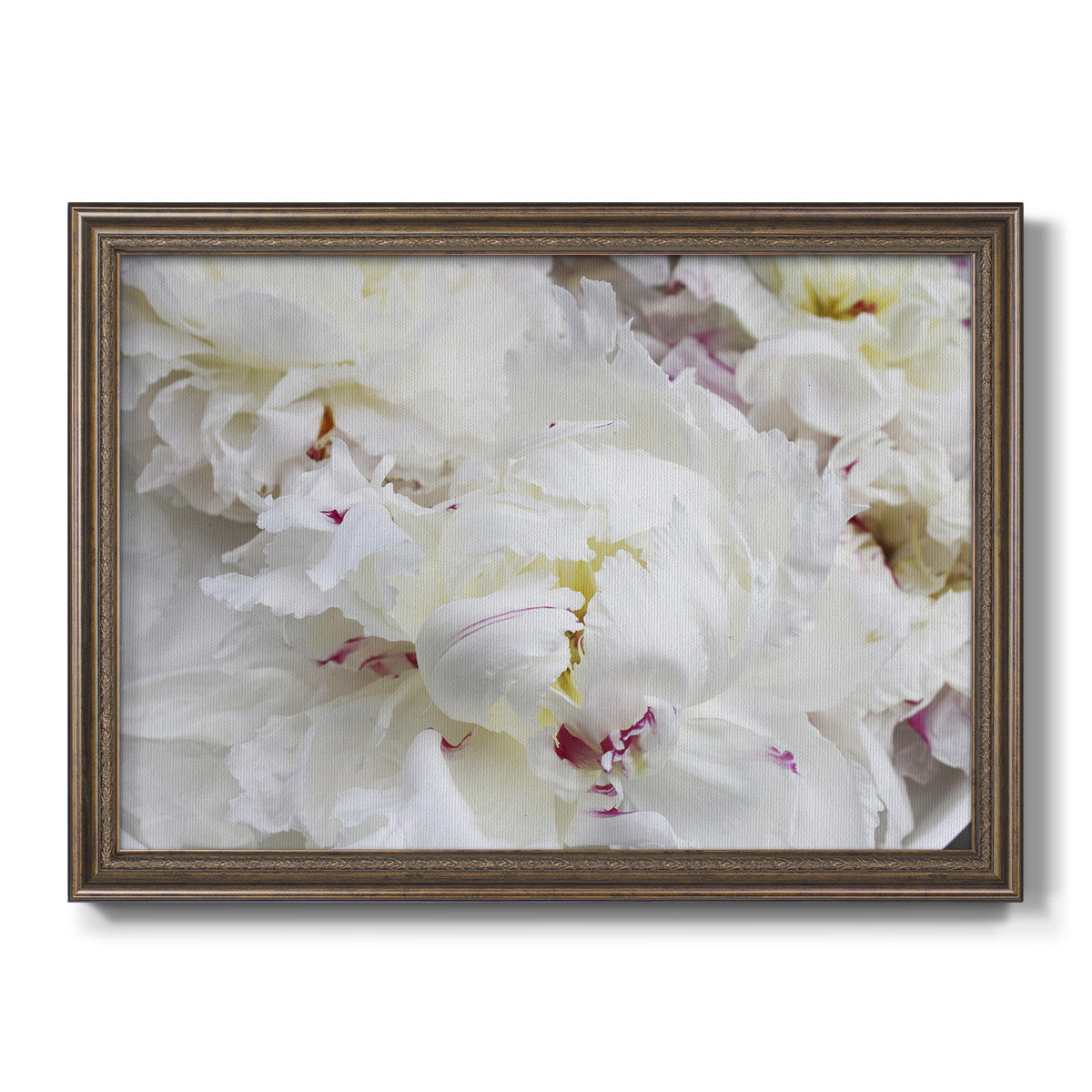 Breathless VI - Ornate Framed Canvas Print