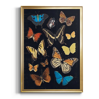 Collected Flutter IV - Modern Framed Canvas Print