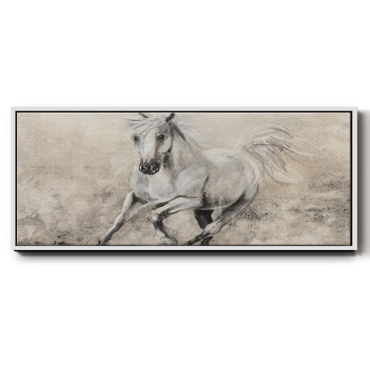 Majestic Stallion II - Floater Framed Canvas Print