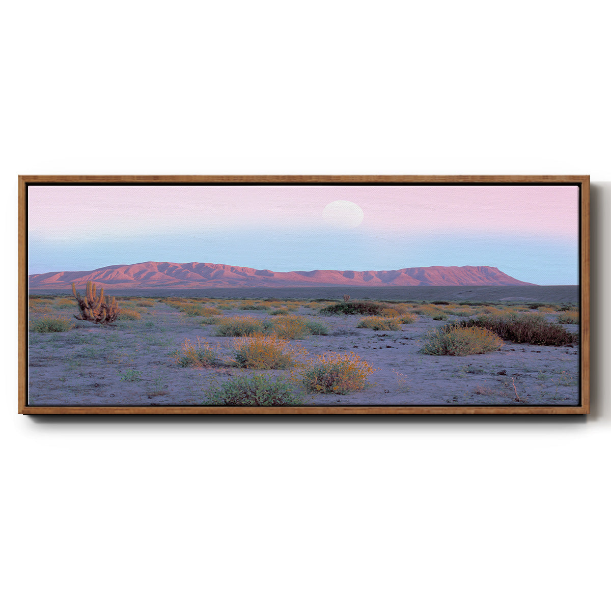 Vallenar Atacama Desert - Floater Framed Canvas Print