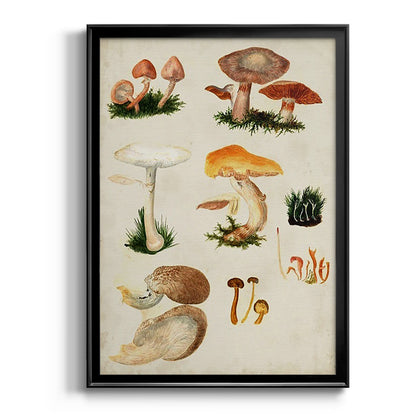 Mushroom Species IV - Modern Framed Canvas Print