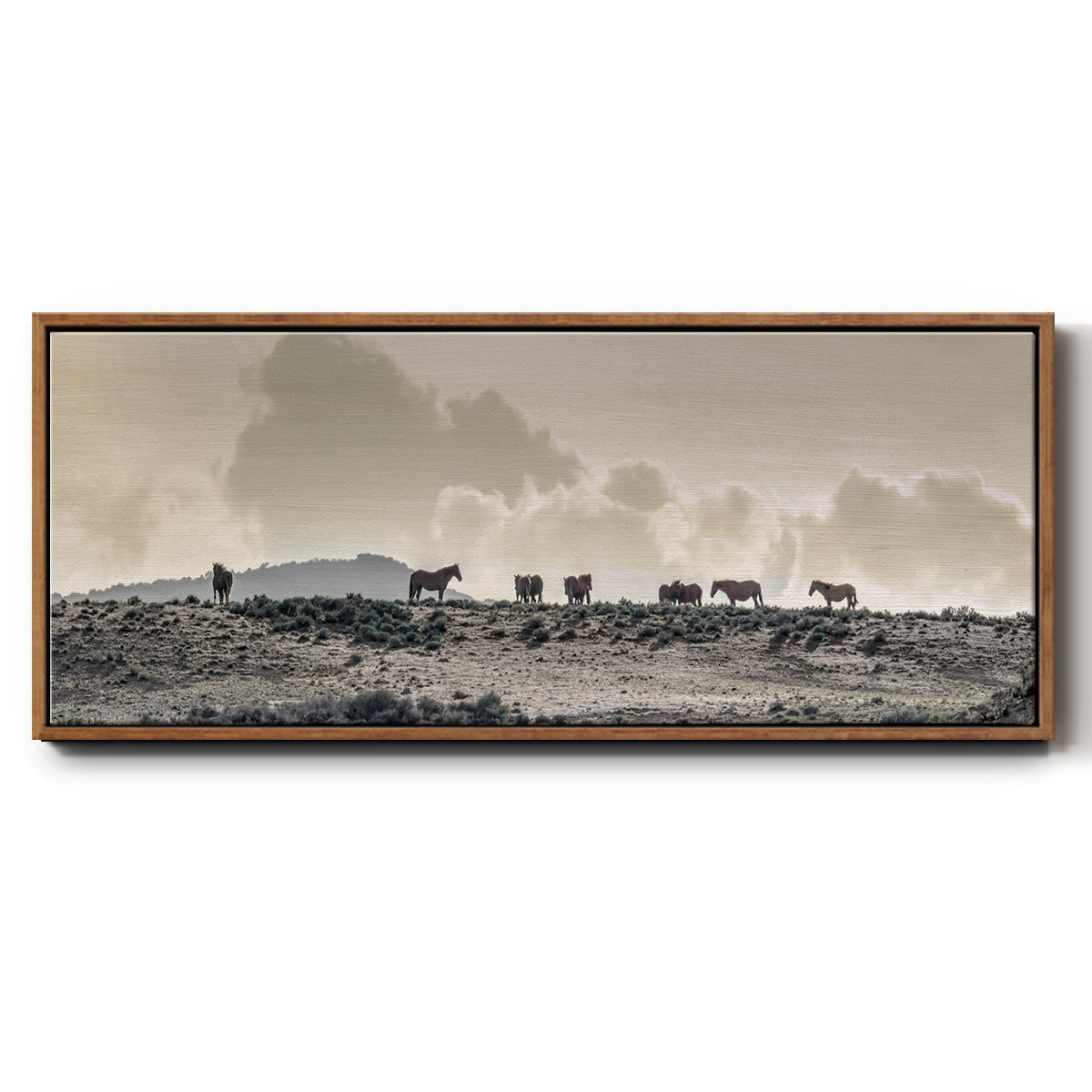 Wild Horse Ridge - Floater Framed Canvas Print
