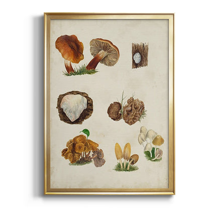 Mushroom Species I - Modern Framed Canvas Print