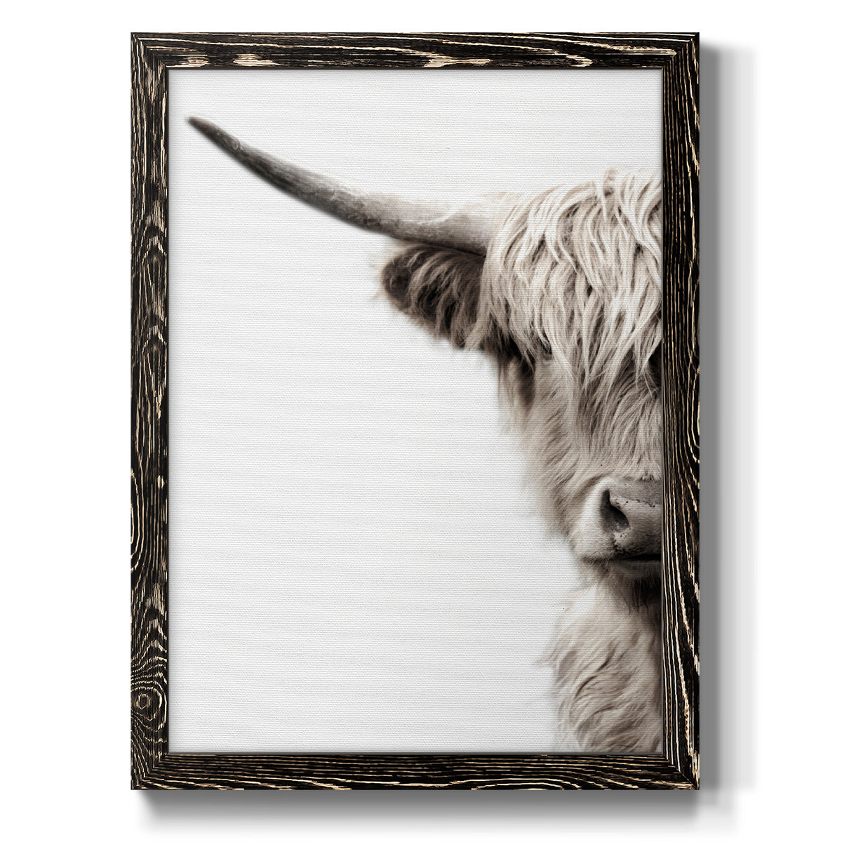 Highland Cattle - Premium Canvas Framed in Barnwood - Ready to Hang