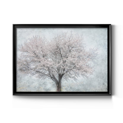 A Feel of Spring II - Modern Framed Canvas Print