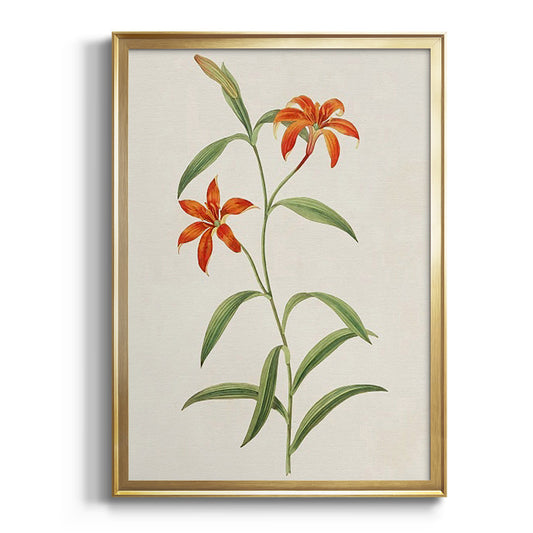 Flowers of the Seasons III - Modern Framed Canvas Print