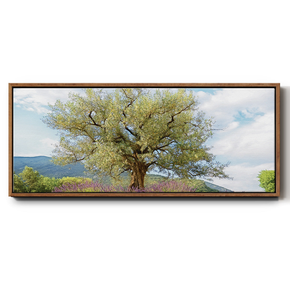 Olive Tree and Lavender - Floater Framed Canvas Print