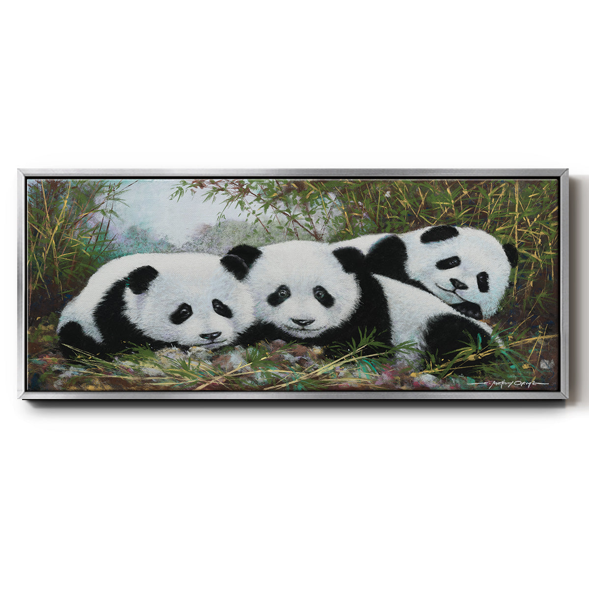Panda Play - Floater Framed Canvas Print