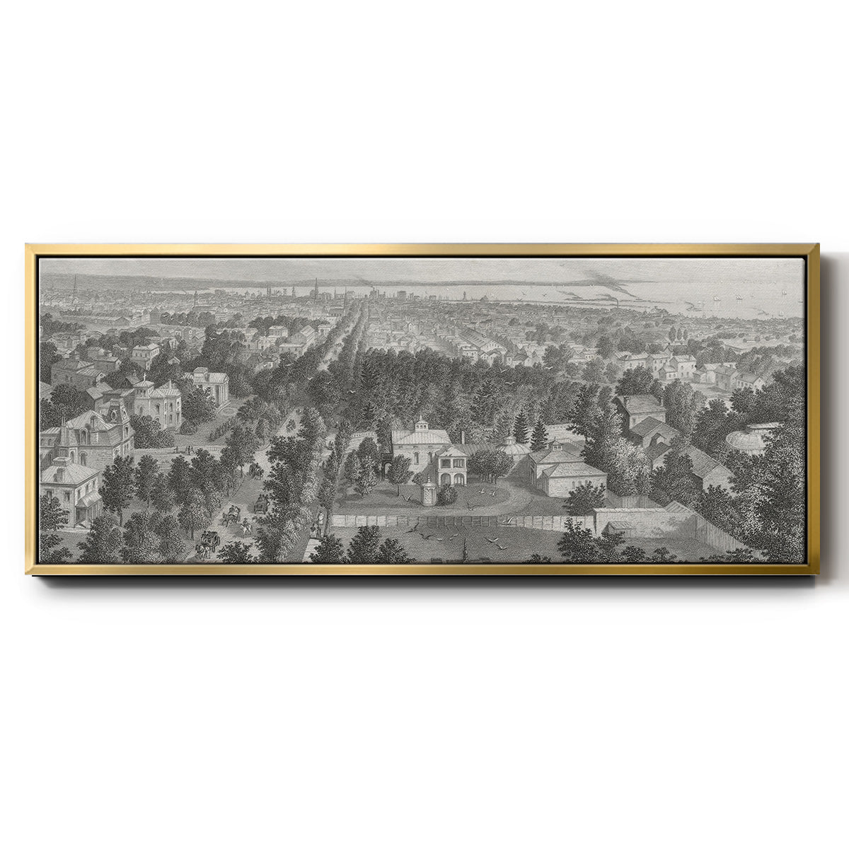City of Buffalo - Floater Framed Canvas Print