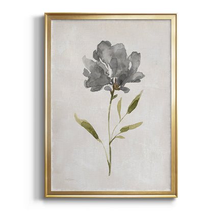 Botanical Beauty II - Modern Framed Canvas Print