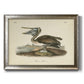 Audubons Brown Pelican - Ornate Framed Canvas Print