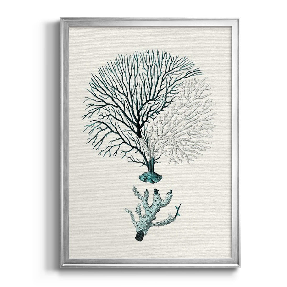 Antique Coastal Coral III - Modern Framed Canvas Print