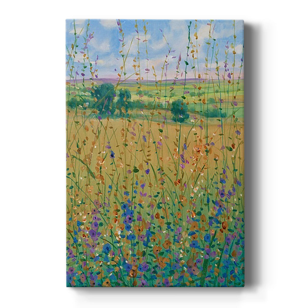 Wildflower Path I Premium Gallery Wrapped Canvas - Ready to Hang