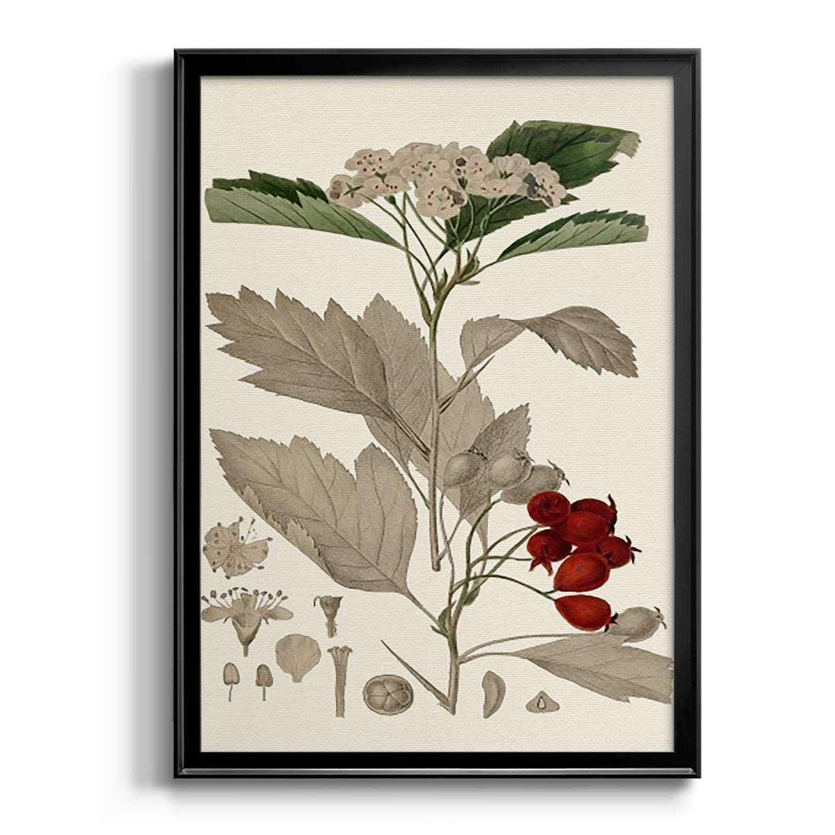 Leaves & Berries I - Modern Framed Canvas Print