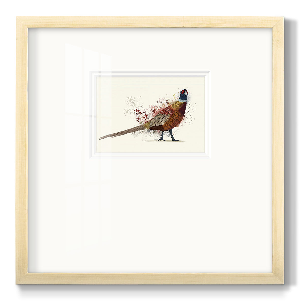 Pheasant Splash 2 - Double Matboard Framed Print