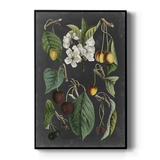 Orchard Varieties II - Canvas Art Print