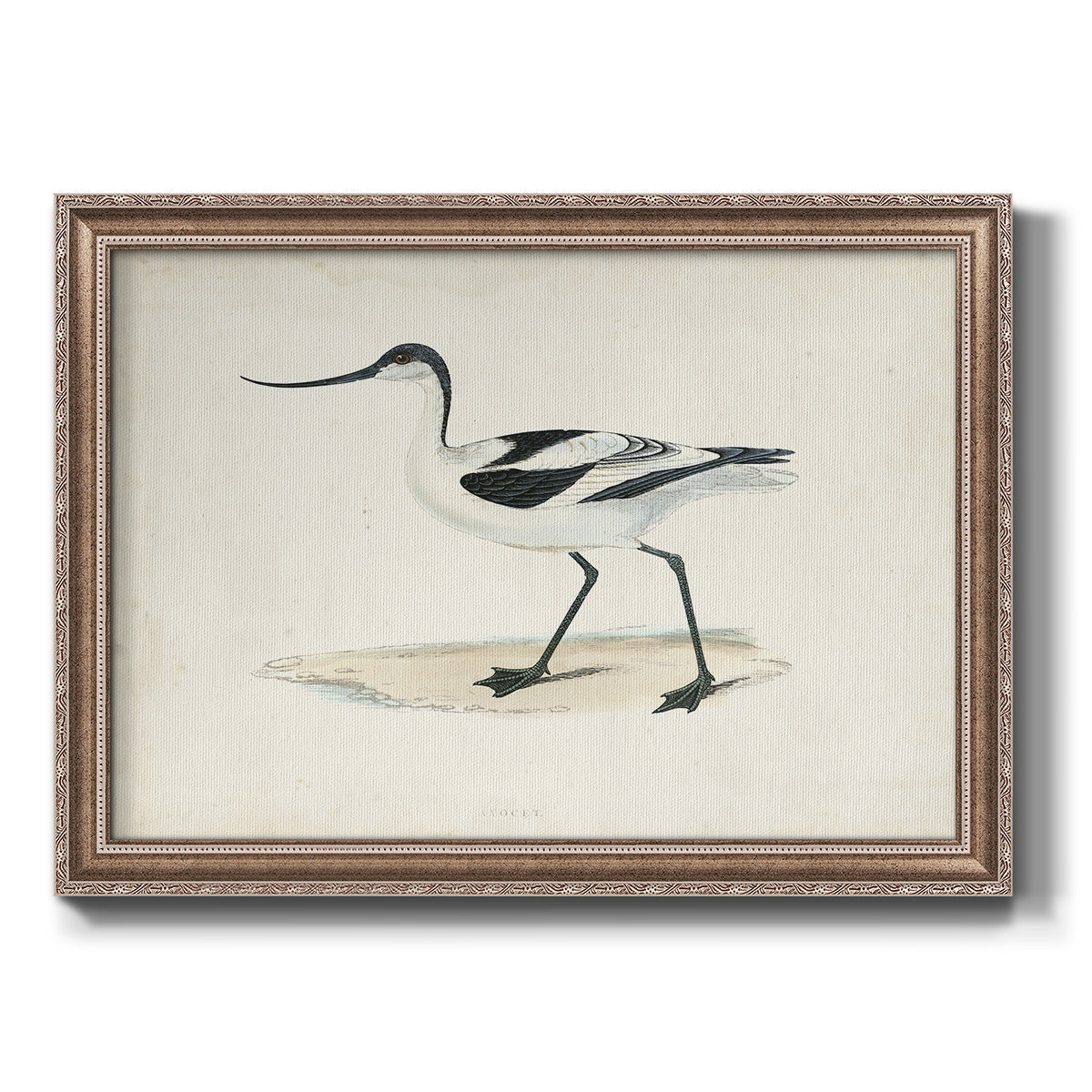 Morris Sandpipers IV Premium Framed Canvas- Ready to Hang