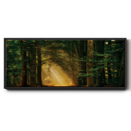 Shine On - Floater Framed Canvas Print