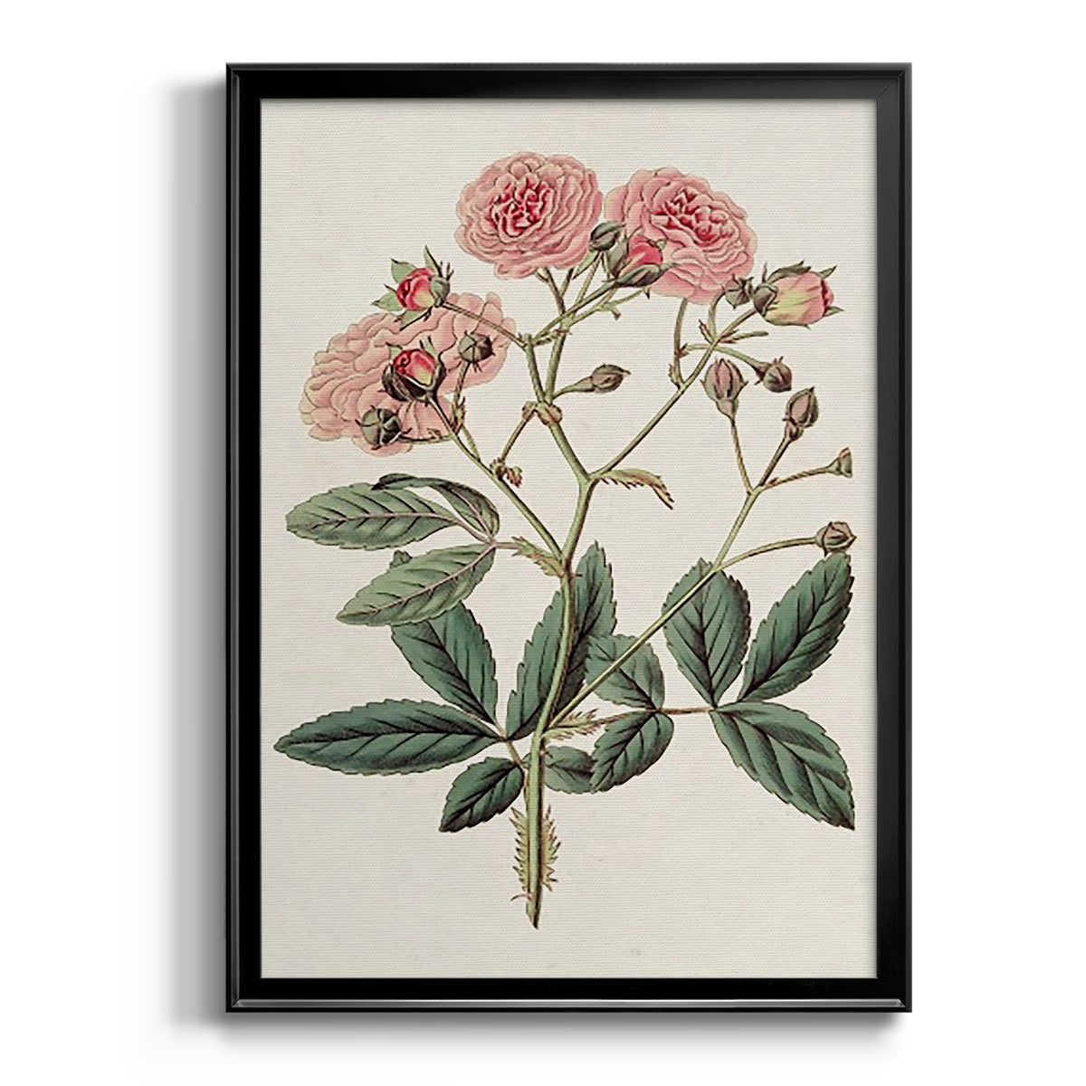 Pink Floral Mix V - Modern Framed Canvas Print