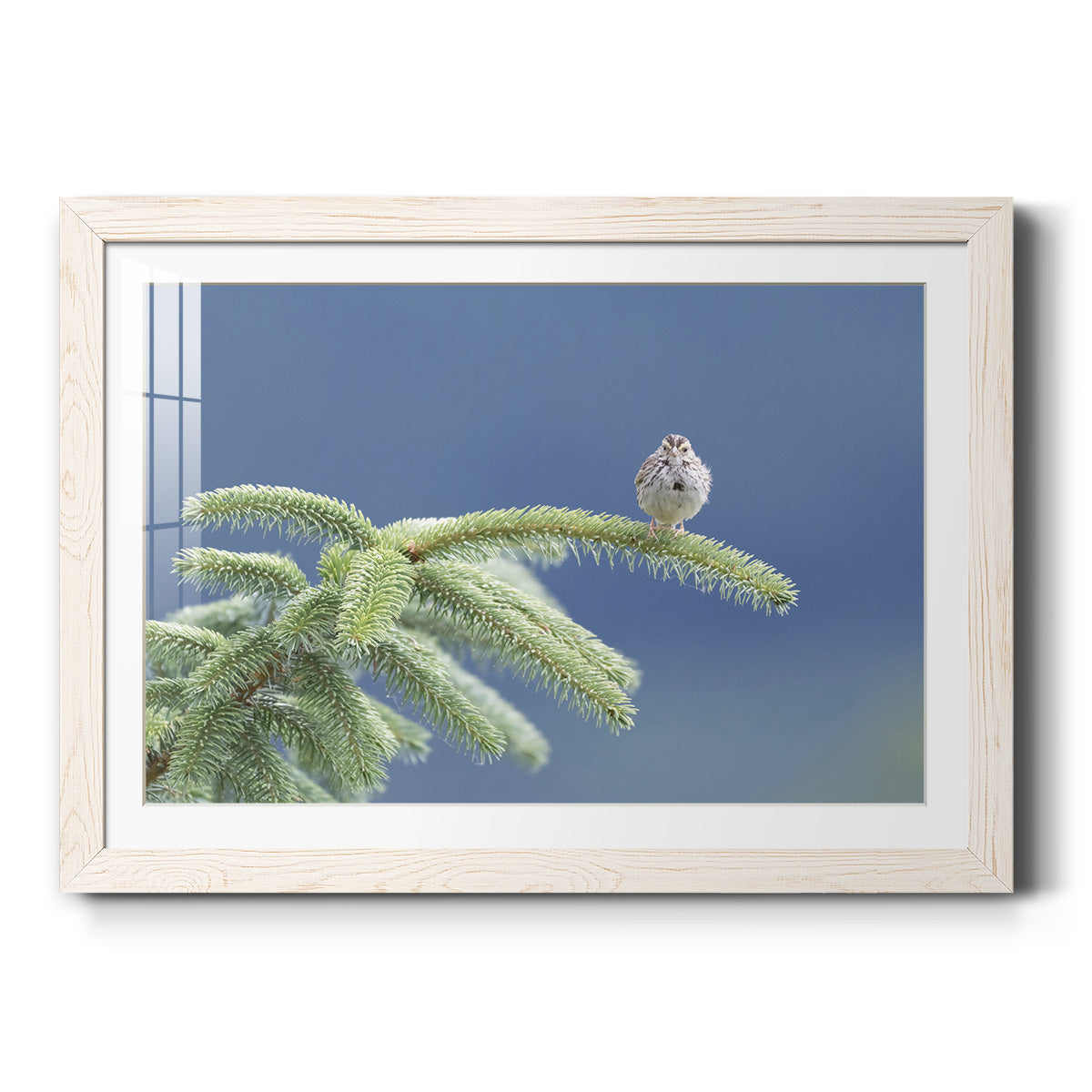 Evergreen Perch - Barnwood Framed Art Print