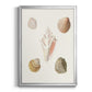 Pastel Knorr Shells IX - Modern Framed Canvas Print