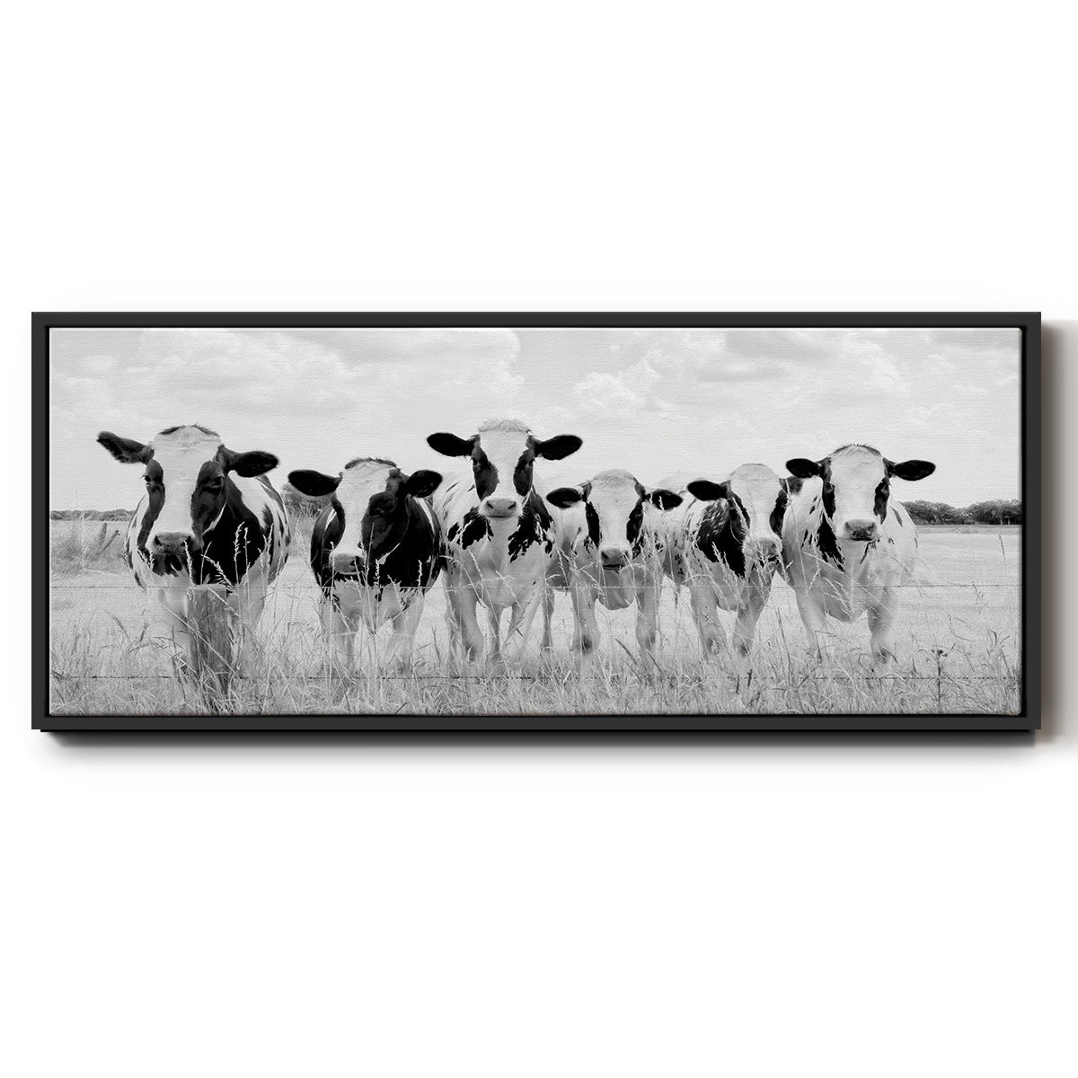 Grazing Pasture - Floater Framed Canvas Print
