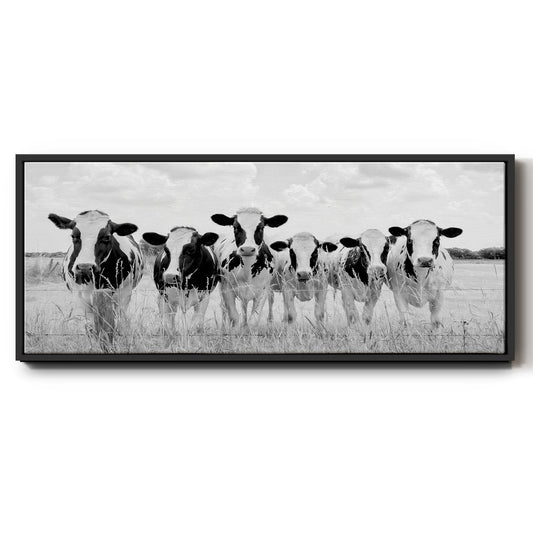 Grazing Pasture - Floater Framed Canvas Print