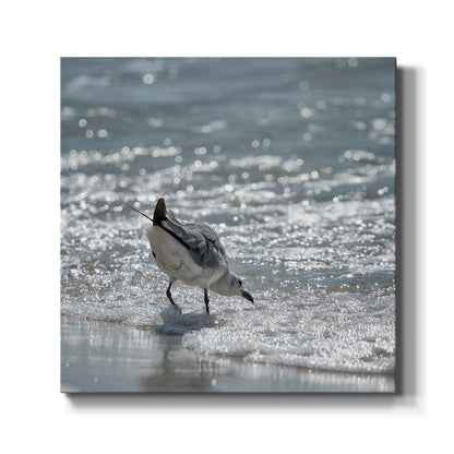 Bottoms Up - Canvas Art Print