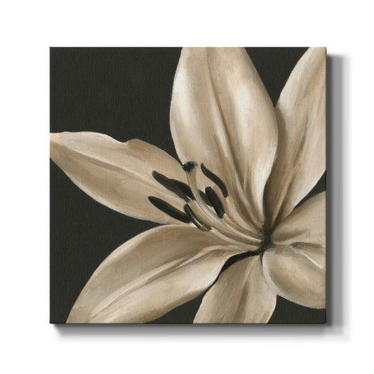 Classical Blooms III - Canvas Art Print