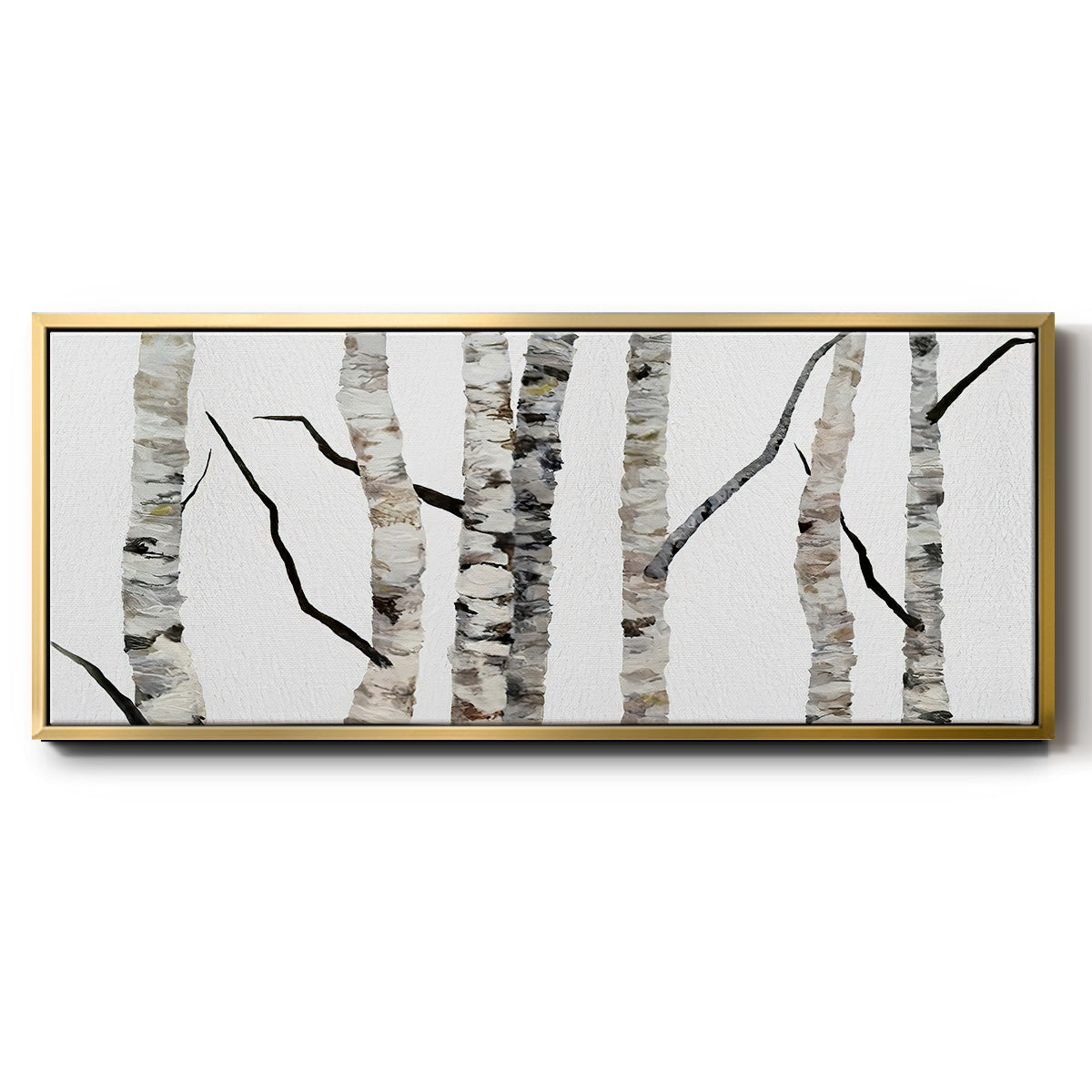 Birch Trees II - Floater Framed Canvas Print