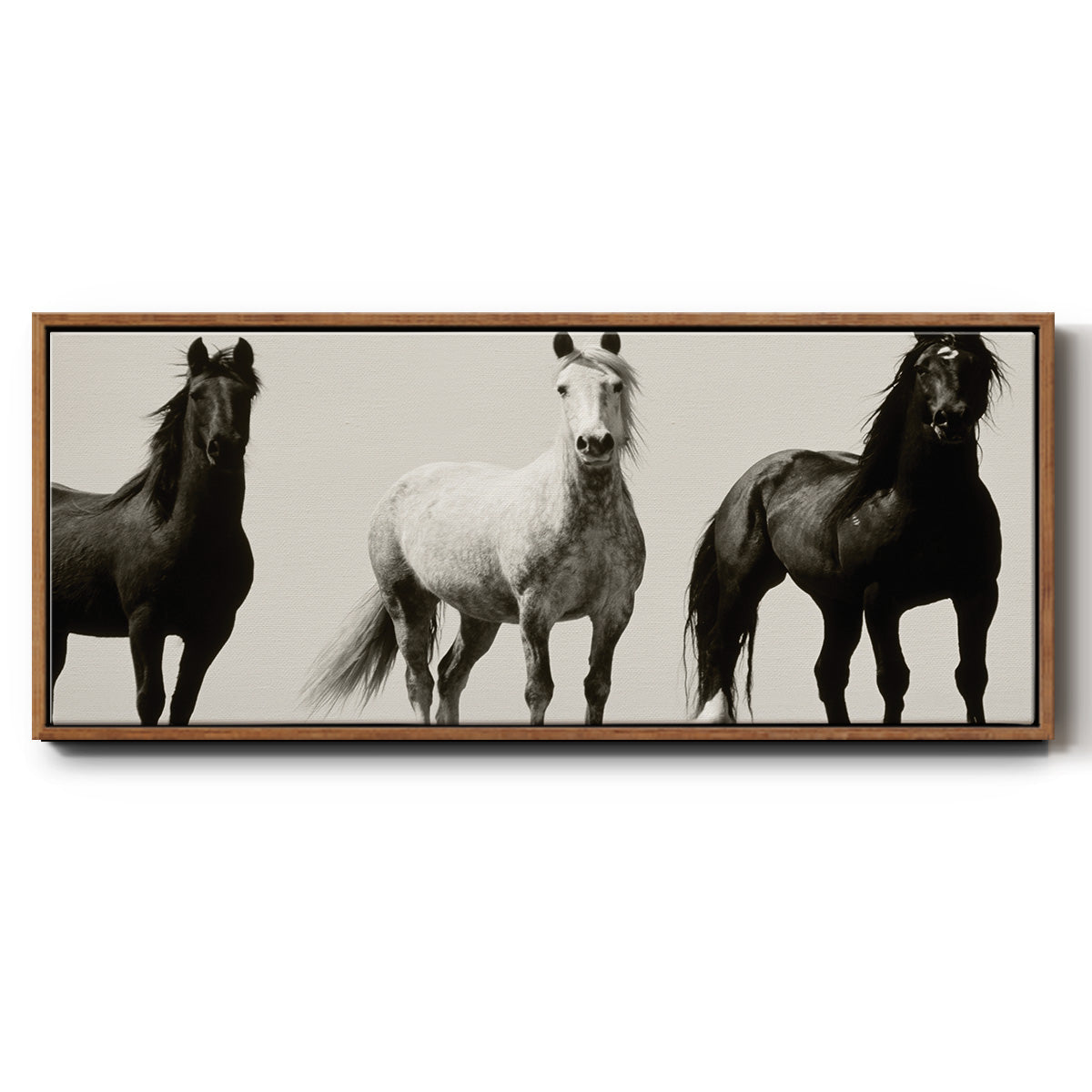 Wild Stallions - Floater Framed Canvas Print