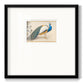 Golden Peacock III - Double Matboard Framed Print