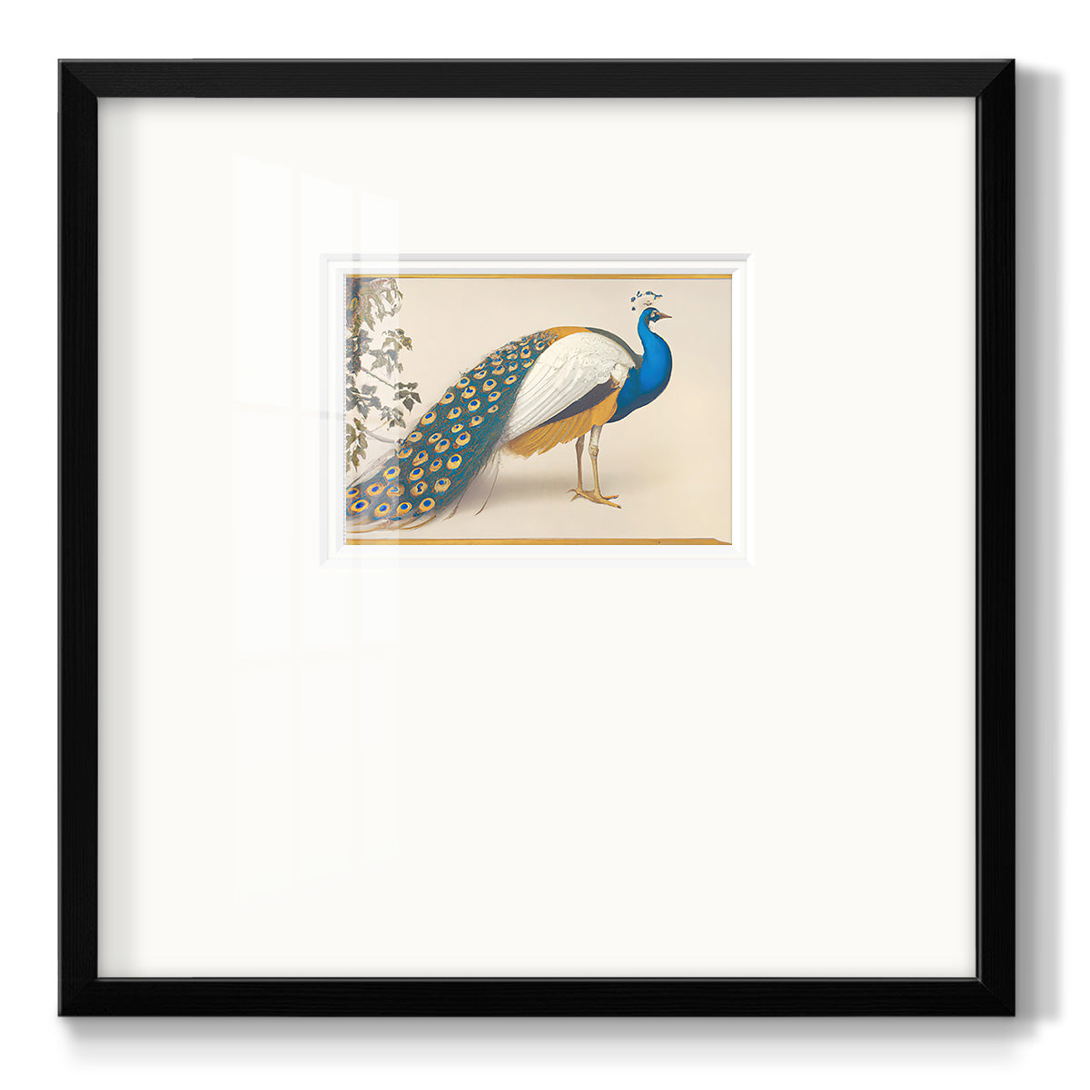 Golden Peacock III - Double Matboard Framed Print