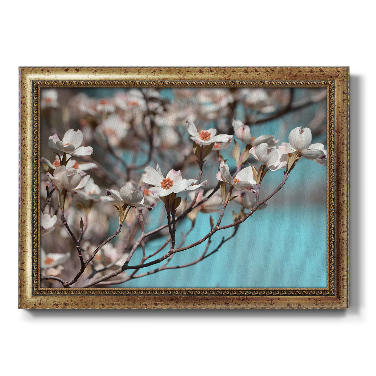 Dogwood Spring III Premium Framed Canvas- Ready to Hang