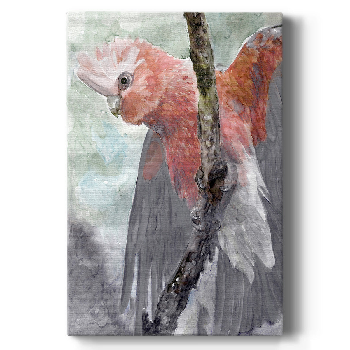 Tropic Parrot II Premium Gallery Wrapped Canvas - Ready to Hang