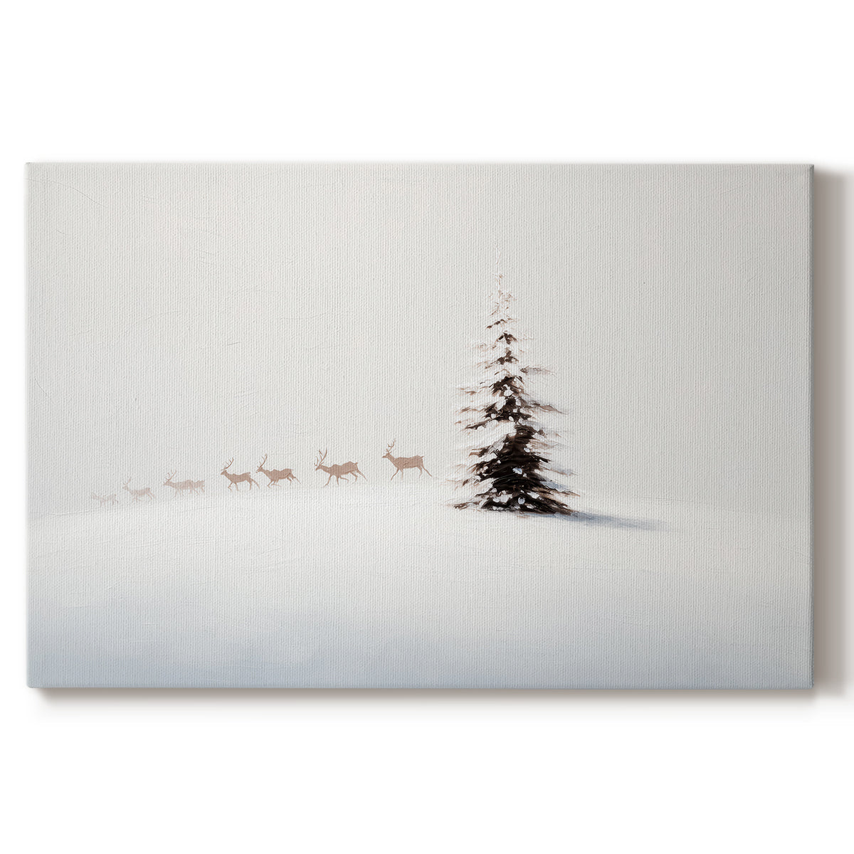 Snowwhite Hush - Canvas Art Print