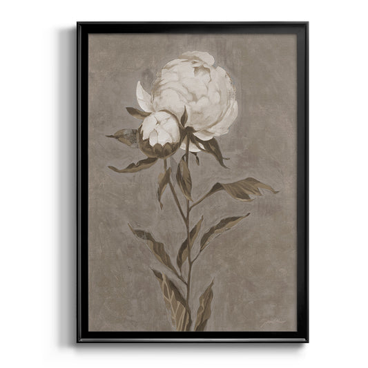 Pretty As A Peony II - Modern Framed Canvas Print