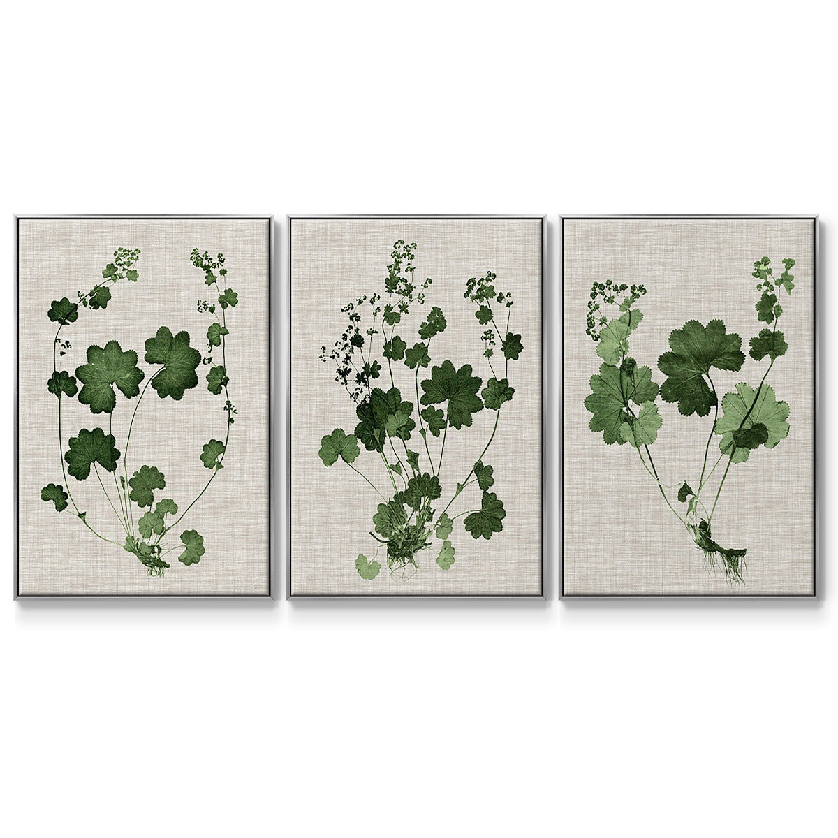 Forest Foliage on Linen I - Floater Framed Canvas Set