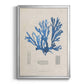 Blue Marine Algae IX -  Framed Canvas Print