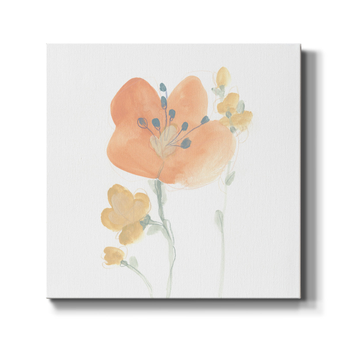 Petite Petals VI - Canvas Art Print