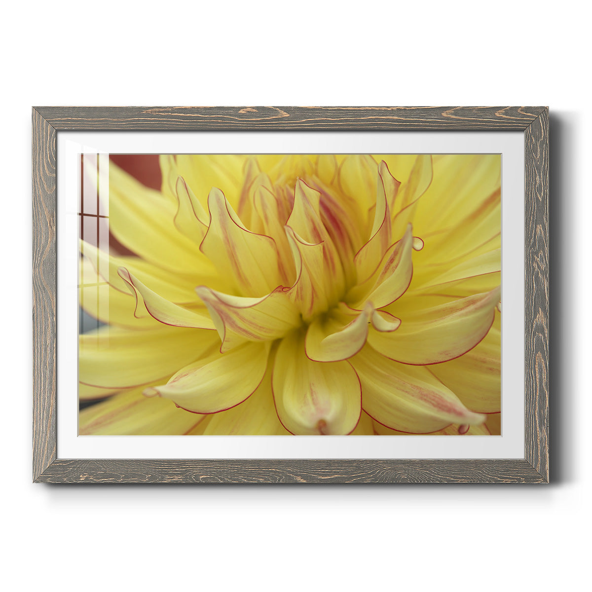 Blooms I - Barnwood Framed Art Print