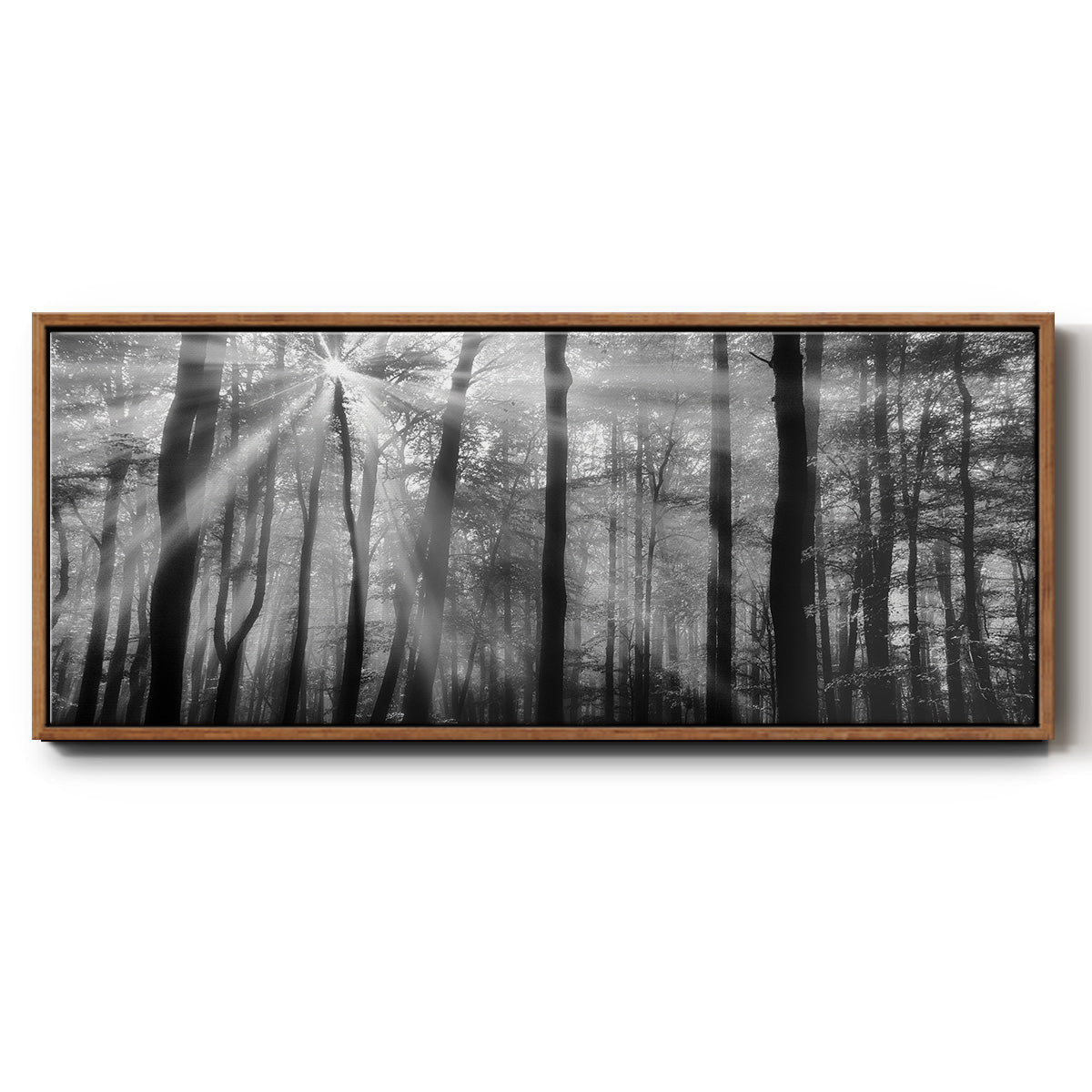 Breaking Through - Floater Framed Canvas Print