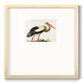 Odd Crane - Double Matboard Framed Print