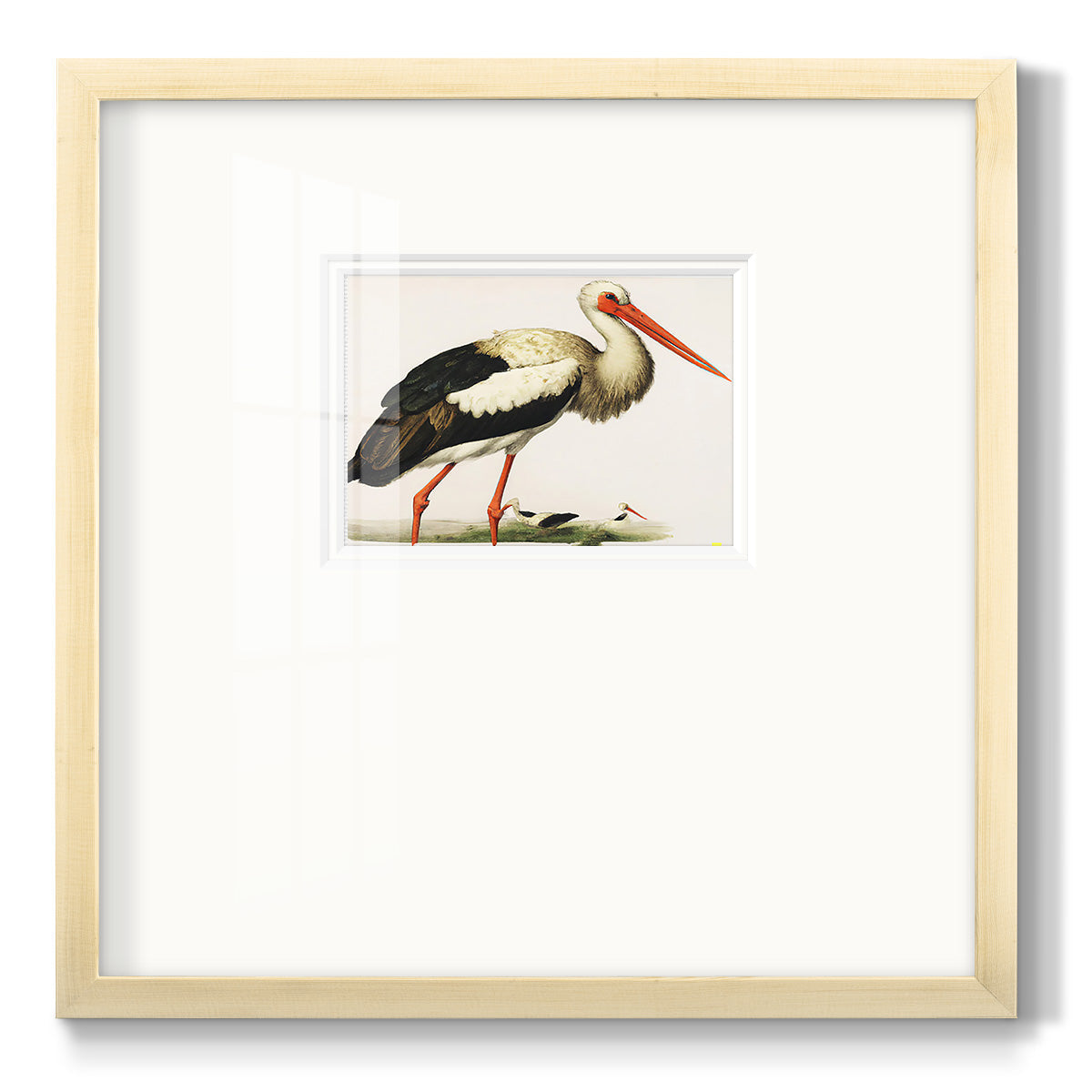 Odd Crane - Double Matboard Framed Print