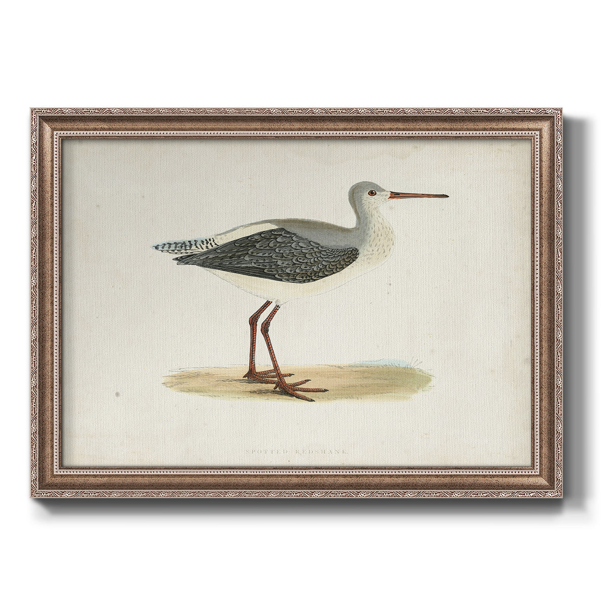 Morris Sandpipers I Premium Framed Canvas- Ready to Hang