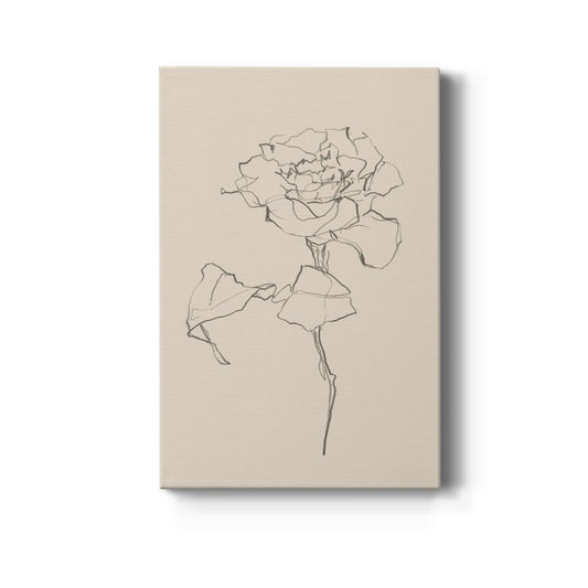 Floral Contour Study I - Canvas Art Print