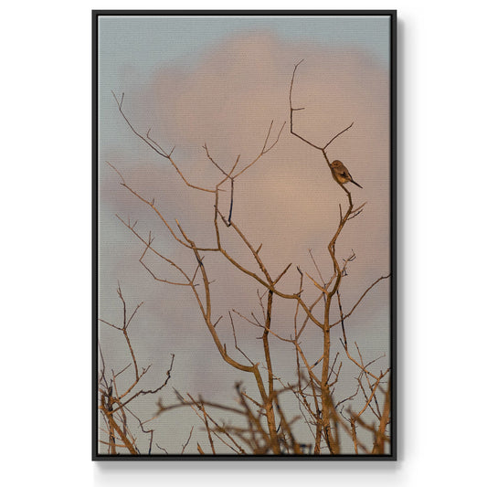 At Dawn - Floater Framed Canvas Print