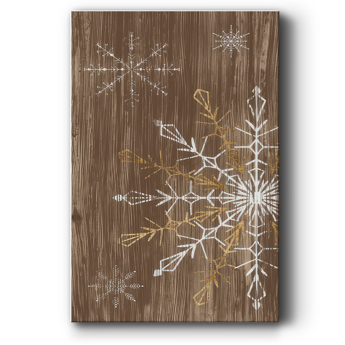 Barnwood Wonderland Collection B - Gallery Wrapped Canvas