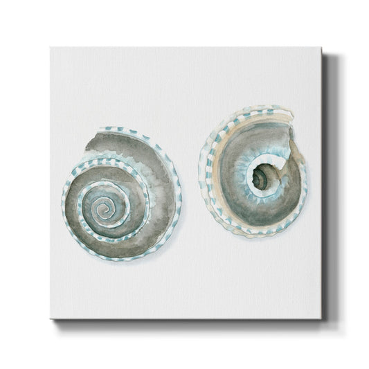 Watercolor Shells IV - Canvas Art Print