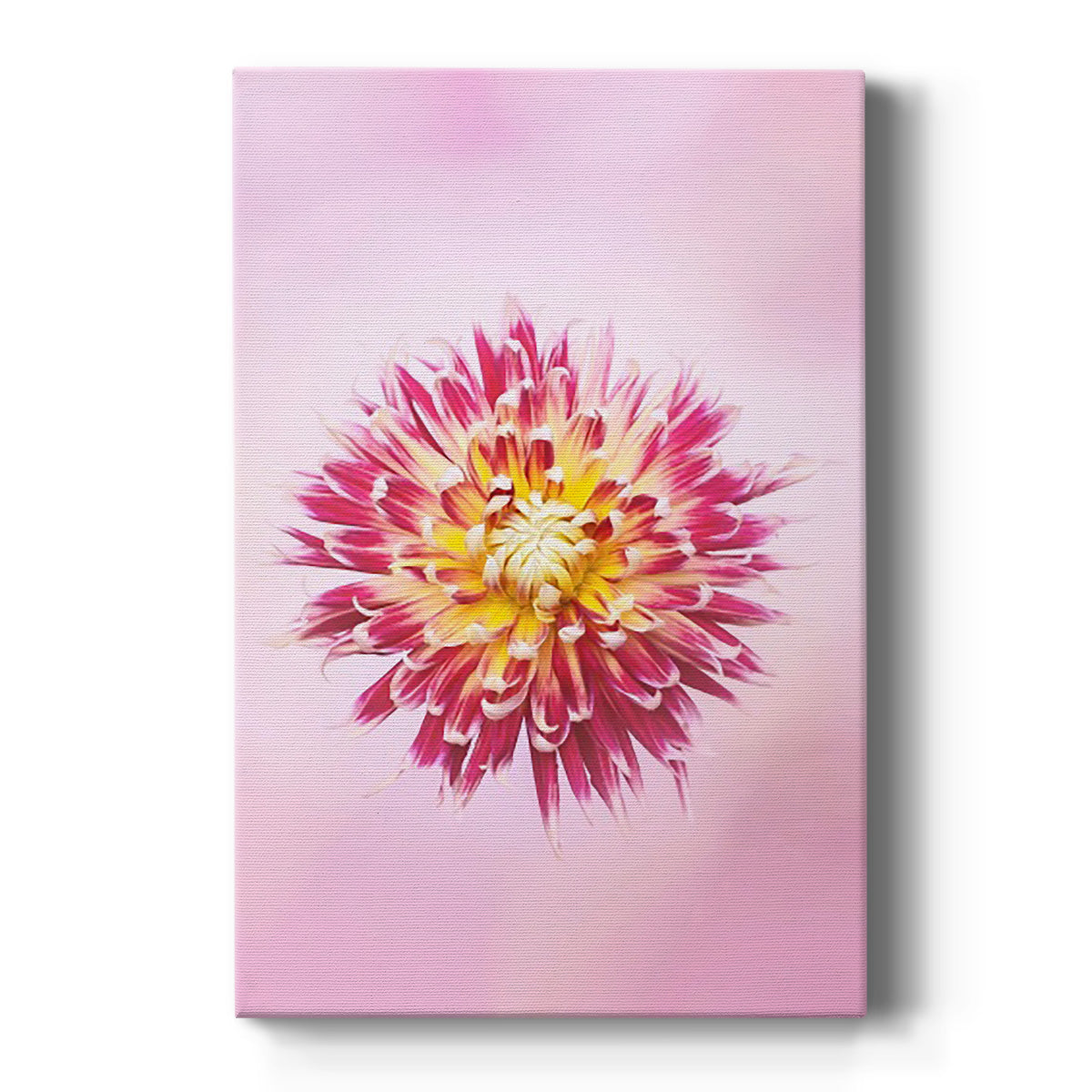 Exotic Flower Burst I - Canvas Art Print